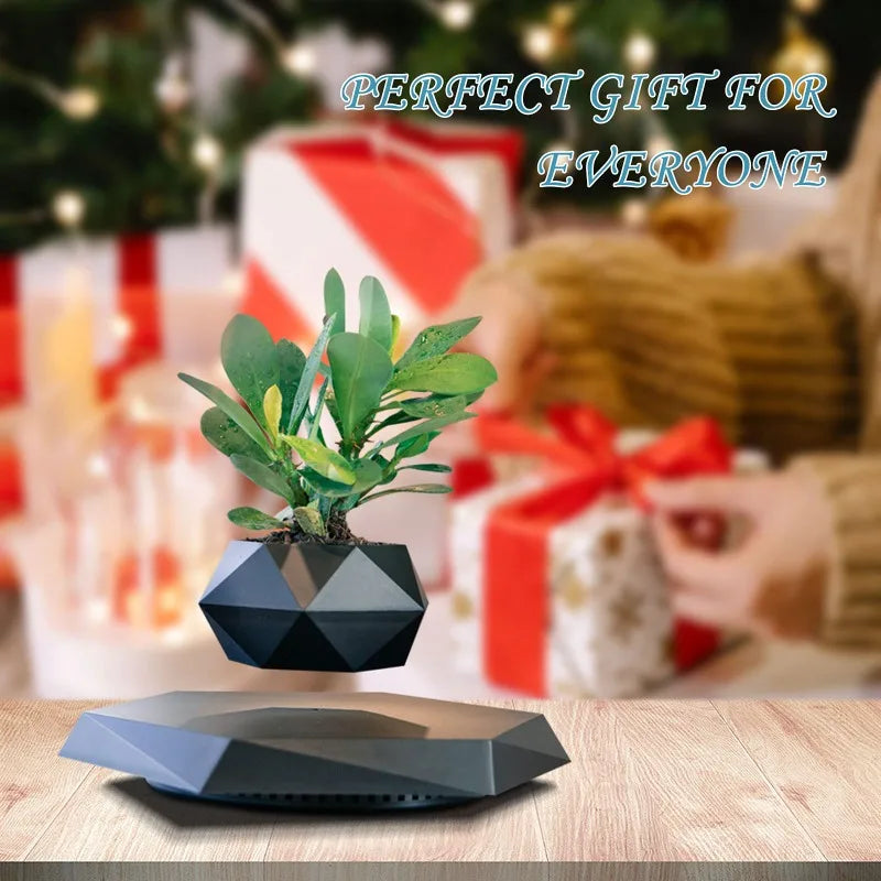 Magnetic Levitating Bonsai Pot